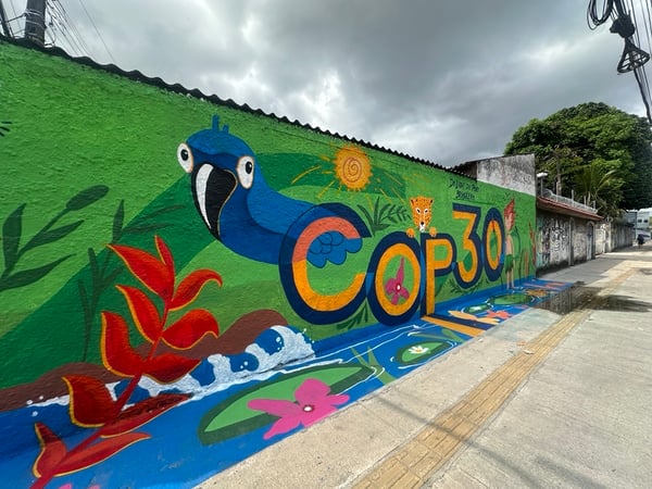 Tropical reflections from COP30